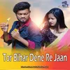 About Tor Bihar Dene Re Jaan Song